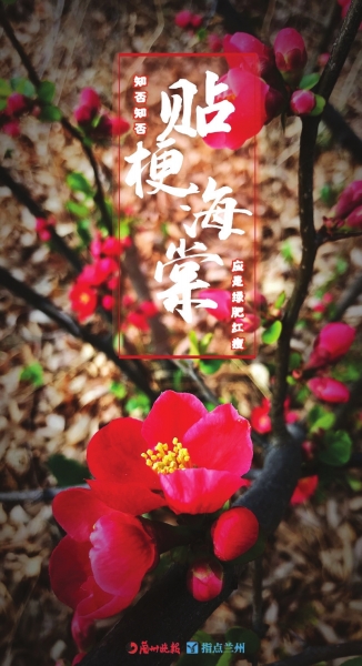 來，跟這些美美的花朵認(rèn)識一下！