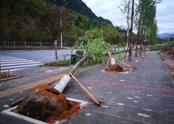 刮風(fēng)下雨加速新冠病毒傳播？別信！