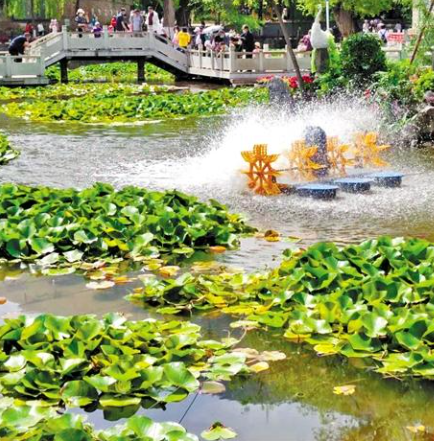 走，到五泉山公園看花展去