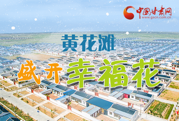 【跟著總書(shū)記看甘肅】長(zhǎng)圖|武威黃花灘盛開(kāi)幸?；?
