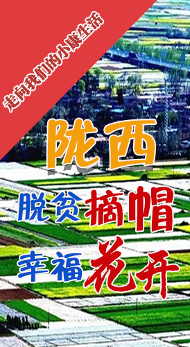 【走向我們的小康生活】長圖|隴西：脫貧摘帽 幸?；ㄩ_