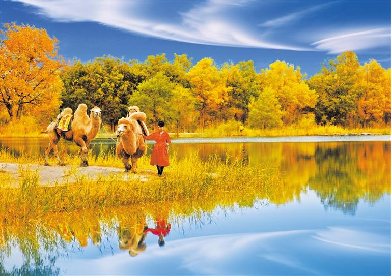 國(guó)慶長(zhǎng)假，去金塔遇見(jiàn)最美胡楊