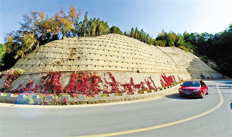 近90度陡坡上種樹！蘭州南北兩山綠化出新招