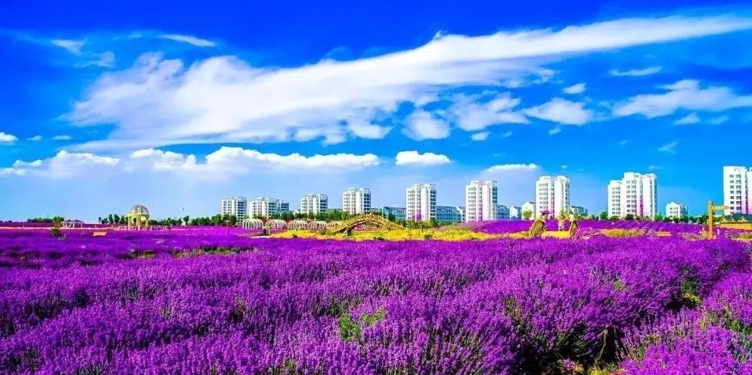 喜訊！金昌蟬聯(lián)全國文明城市