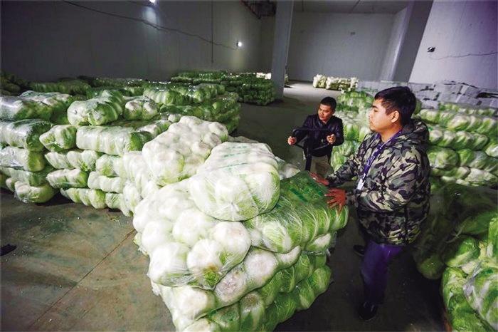蘭州市已儲備1萬噸冬春蔬菜以耐貯存、易周轉品種為主