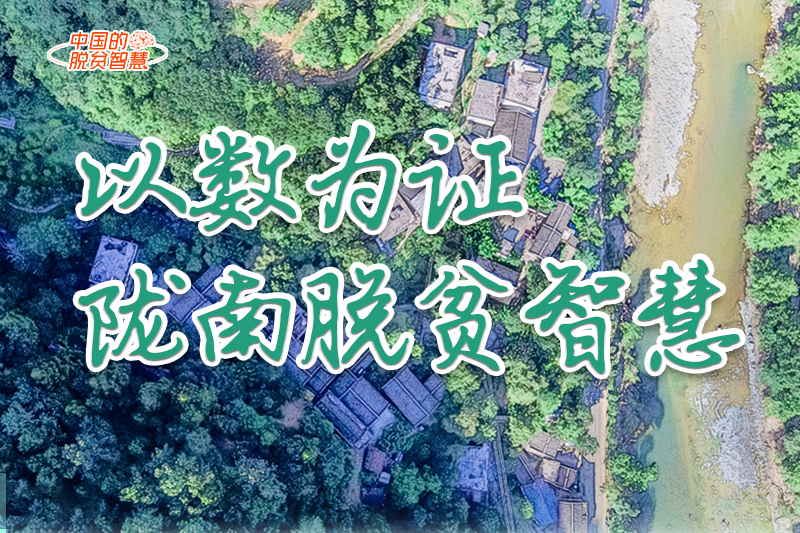 【中國的脫貧智慧】以數(shù)為證！隴南脫貧智慧來了！