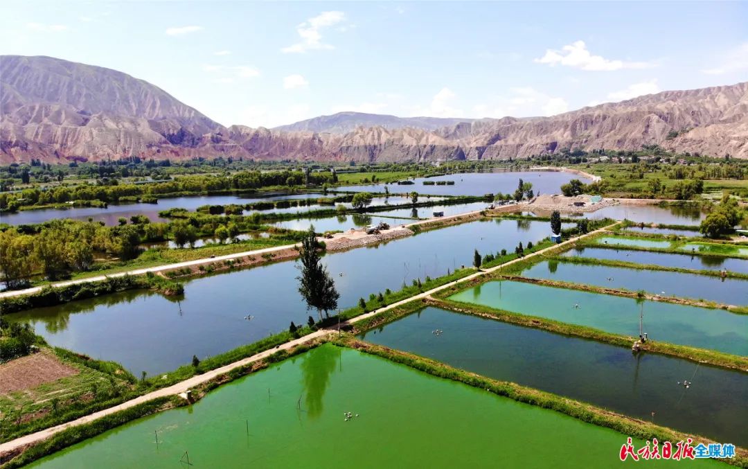 一秒入畫！太極島濕地風(fēng)光秀麗