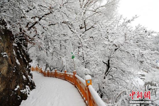 圖為上山的石階被雪覆蓋。張?zhí)鞂?攝