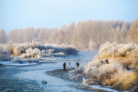 武威市石羊河國(guó)家濕地公園出現(xiàn)霧凇景觀
