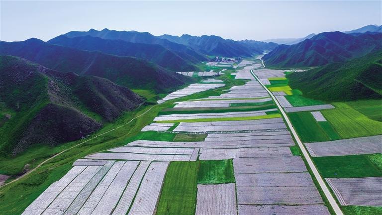 蘭州永登縣打贏三場(chǎng)攻堅(jiān)戰(zhàn)做好“產(chǎn)業(yè)興旺”大文章
