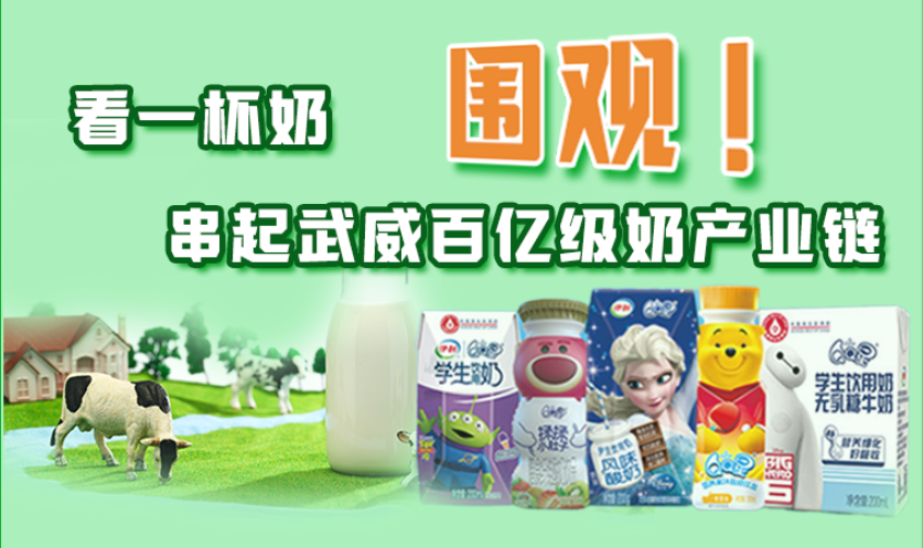 圖解|圍觀！看一杯奶串起武威百億級奶產(chǎn)業(yè)鏈