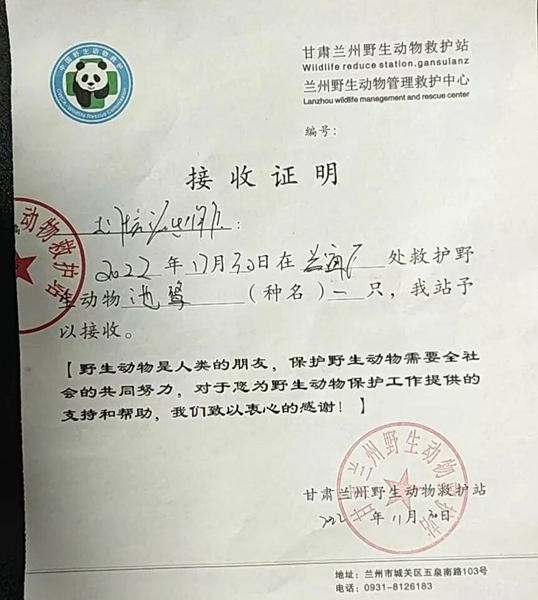 受到救助的池鷺被蘭州野生動物保護站接收。（蘭州市公安局七里河分局供圖）