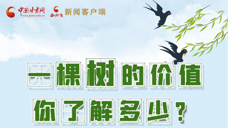 圖解|一棵樹的價值你了解多少?來看！