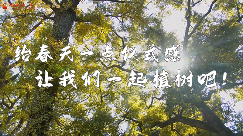 短視頻|給春天一點儀式感，讓我們一起植樹吧！