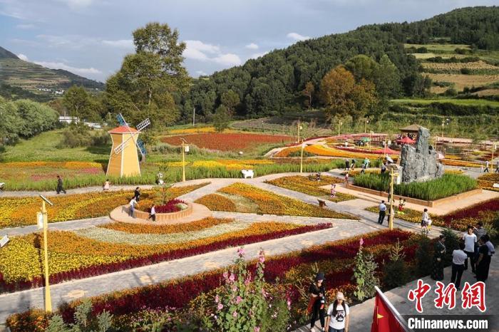 圖為航拍甘肅甘南臨潭縣八角鎮(zhèn)，花海吸引游人。(資料圖)高展 攝