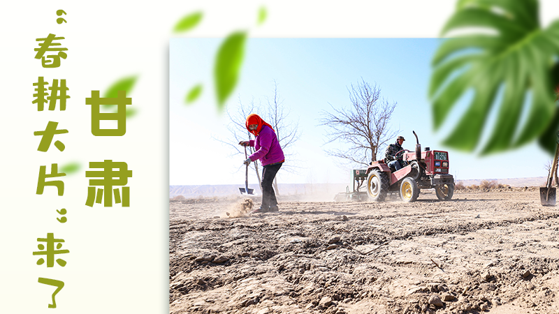【甘快看】海報|瞧！甘肅“春耕大片”來了