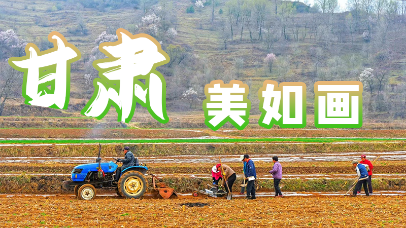 微海報(bào)|甘肅，美如畫