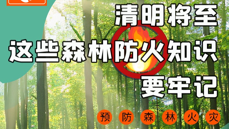 【甘快看】圖解|緊繃“安全弦”！清明，這些森林防火知識(shí)要牢記