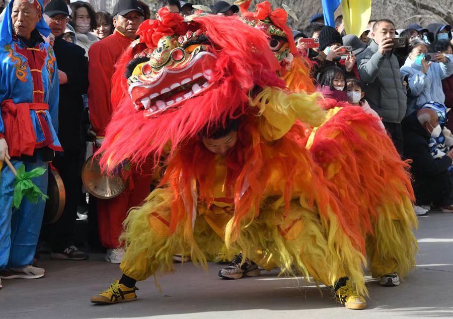 蘭州北獅表演現(xiàn)場。受訪者供圖