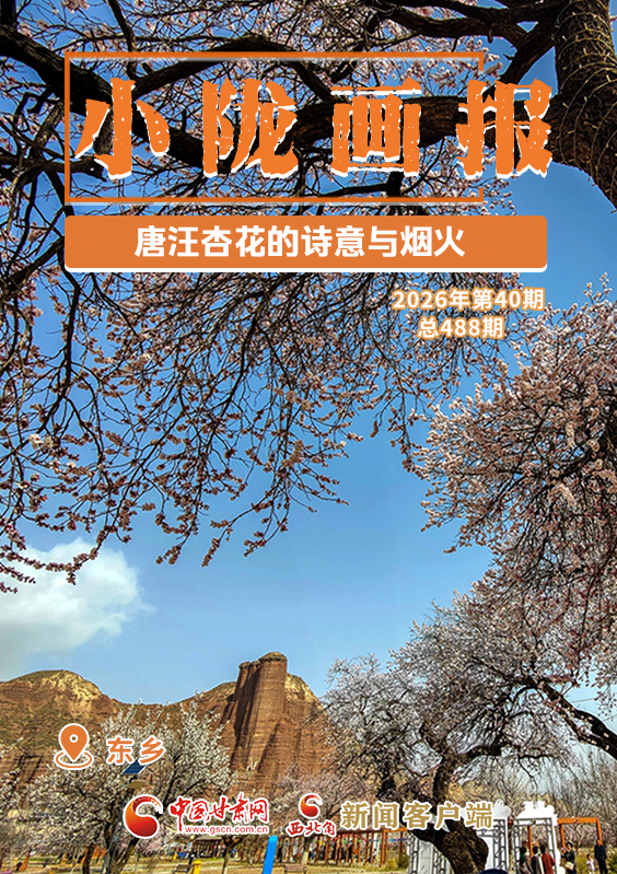【小隴畫(huà)報(bào)·488期】東鄉(xiāng)：唐汪杏花的詩(shī)意與煙火